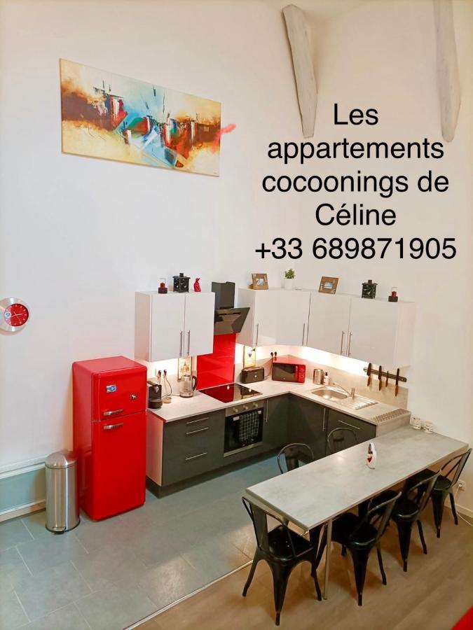 Superbe Appartement Type Loft En Duplex Rue Buat Châlons-en-Champagne Esterno foto